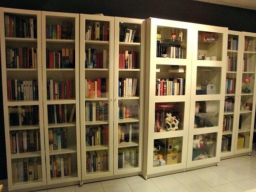 my book shelves